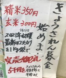 62号　3面　国会請願署名・募金活動に ご協力を！